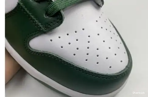 Low Dunk Spartan Green Nike DD1391-101 0501